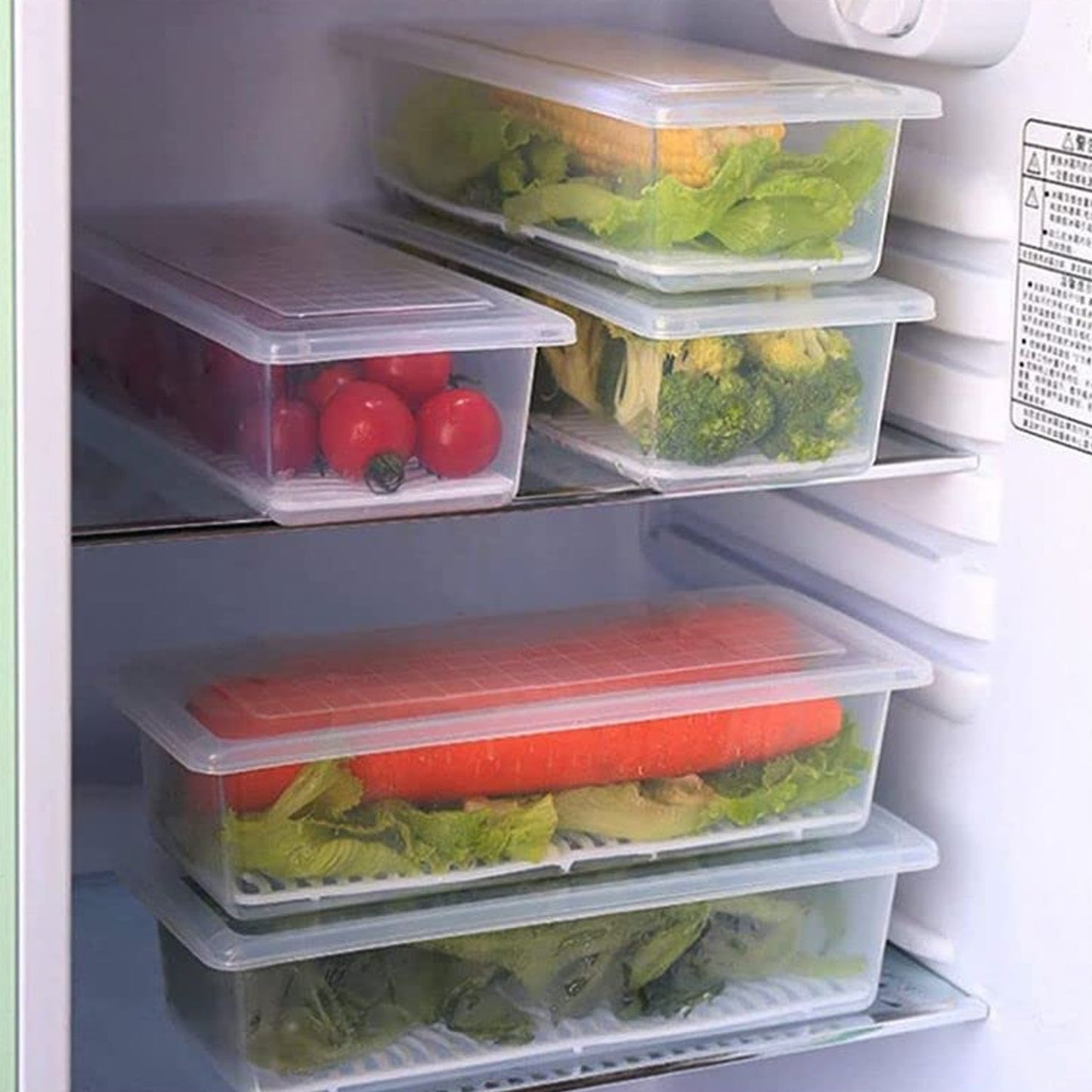 Vegetables & Fruits Freezer Storage Container (PACK OF 3PC 1500ML) (X442)