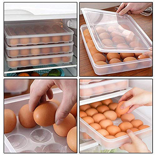 Egg Tray | Container | Storage 24 Grid (1PC) (5/1-X192)