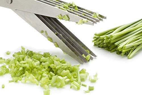 Multifunction Vegetable Stainless Steel Herbs Scissor With 5 Blades (X464)