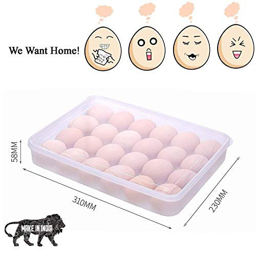 Egg Tray | Container | Storage 24 Grid (1PC) (5/1-X192)