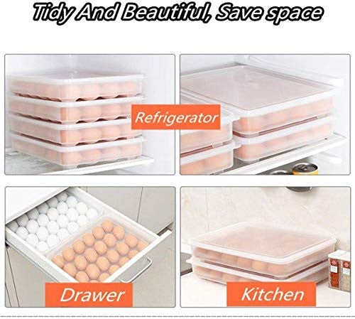Egg Tray | Container | Storage 24 Grid (1PC) (5/1-X192)