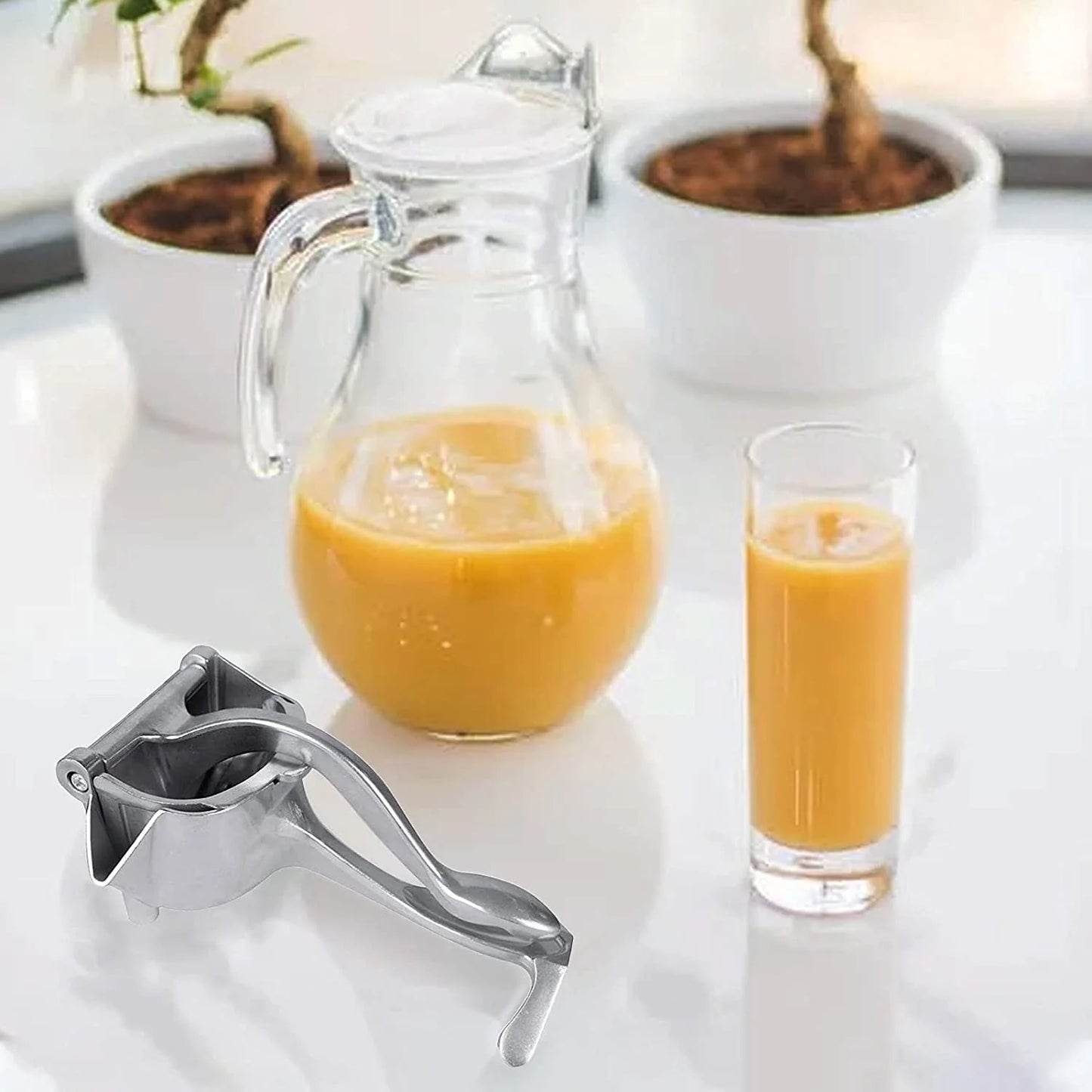 Manual Aluminium Metal Fruit Press Juicer (X462)