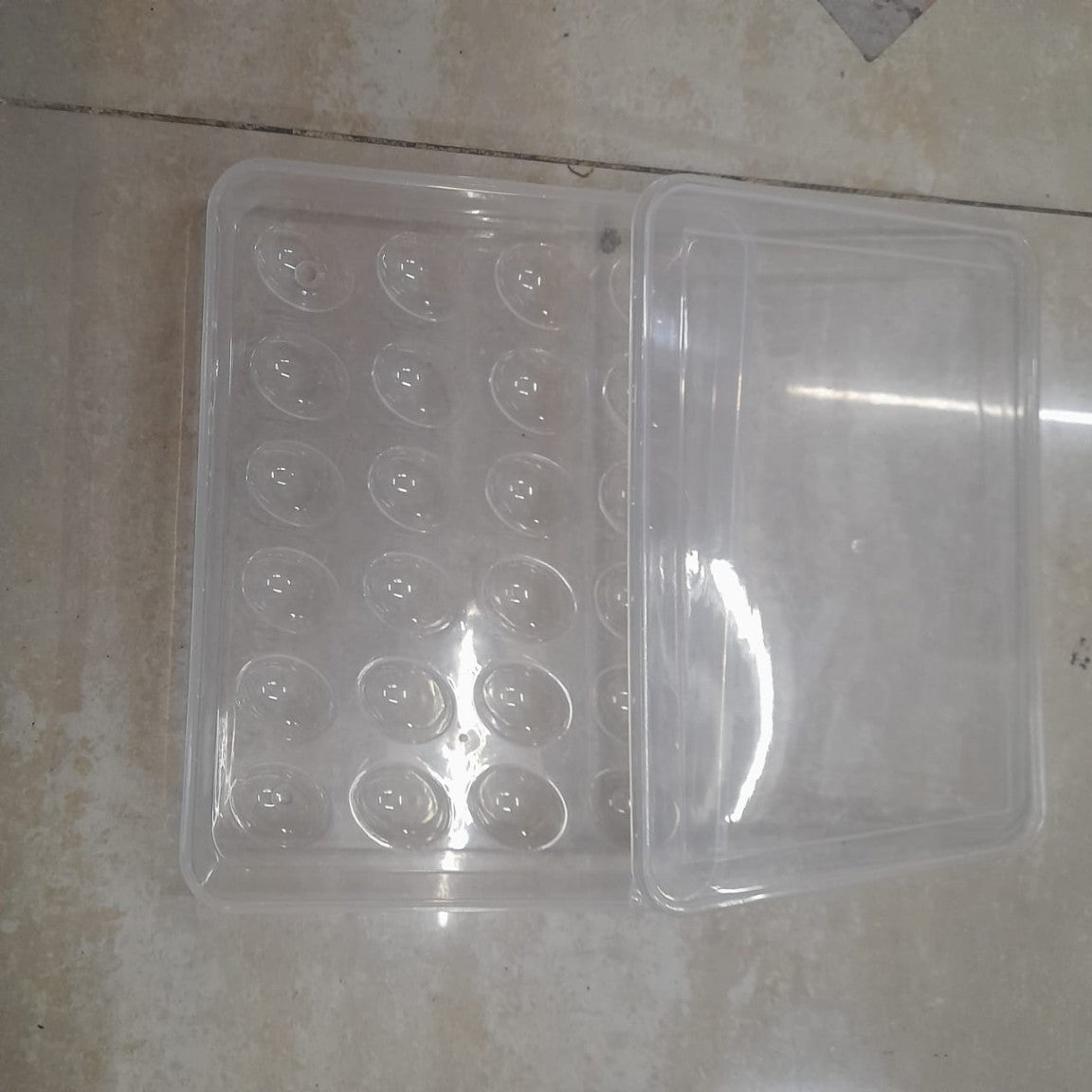 Egg Tray | Container | Storage 24 Grid (1PC) (5/1-X192)