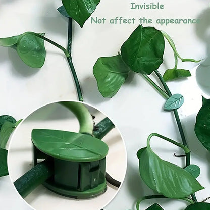 Plant Climbing Wall Fixture Clip Self-Adhesive Hook Vines Traction Invisible Stand Green Plant Clip Garden Wall Clip Plant Support Binding Clip Plants for Indoor Outdoor Decoration (10 Pcs Set) (X834)