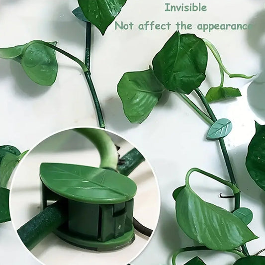 Plant Climbing Wall Fixture Clip Self-Adhesive Hook Vines Traction Invisible Stand Green Plant Clip Garden Wall Clip Plant Support Binding Clip Plants for Indoor Outdoor Decoration (10 Pcs Set) (X834)