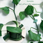 Plant Climbing Wall Fixture Clip Self-Adhesive Hook Vines Traction Invisible Stand Green Plant Clip Garden Wall Clip Plant Support Binding Clip Plants for Indoor Outdoor Decoration (10 Pcs Set) (X834)