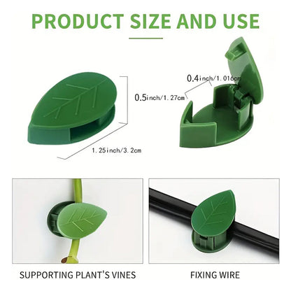 Plant Climbing Wall Fixture Clip Self-Adhesive Hook Vines Traction Invisible Stand Green Plant Clip Garden Wall Clip Plant Support Binding Clip Plants for Indoor Outdoor Decoration (10 Pcs Set) (X834)