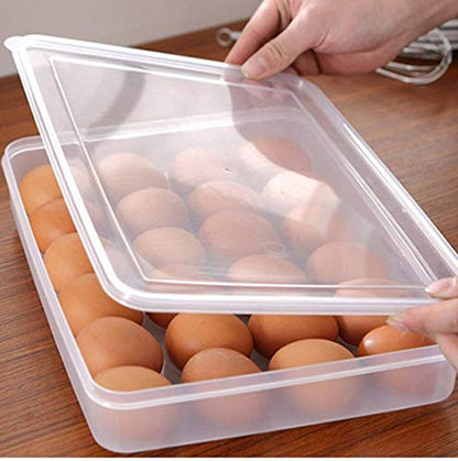 Egg Tray | Container | Storage 24 Grid (1PC) (5/1-X192)