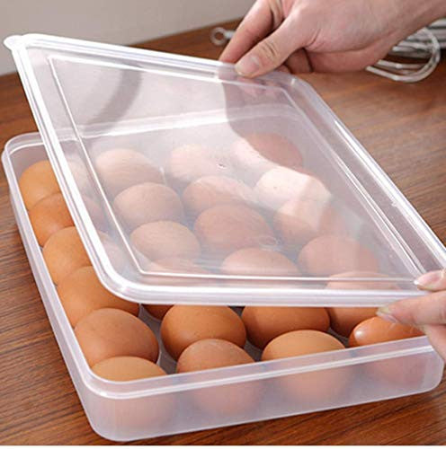 Egg Tray | Container | Storage 24 Grid (1PC) (5/1-X192)