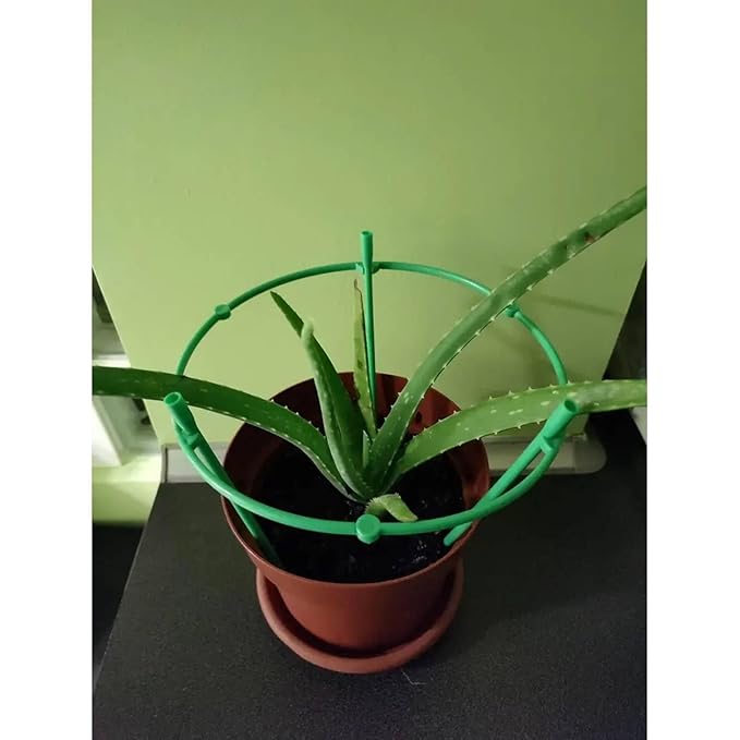 PLANT SUPPORT CIRCLE RING (1SET) (X559)
