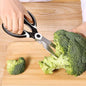 MultiPurpose Kitchen Scissor | 1Pc | X3026 |