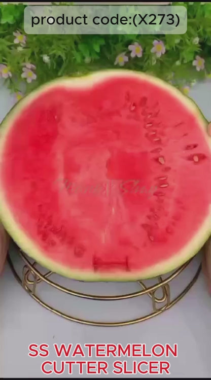Watermelon Cantaloupe Slicer Stainless Steel Knife Corer Fruit Vegetable (X273)